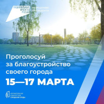 15–17 марта жители Шадринска cмогут принять участие в голосовании за объекты благоустройства по федеральному проекту «Формирование комфортной городской среды»!.