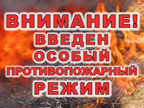 Введен особый противопожарный режим.